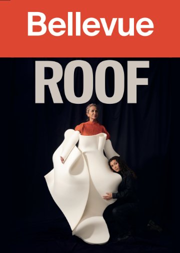 ROOF_maxine palit de jongh_Theater Bellevue